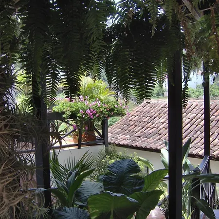 Lägenhet Moderne Mit Privatem Balkon Sowie Meer- Und Gebirgsblick Icod De Los Vinos